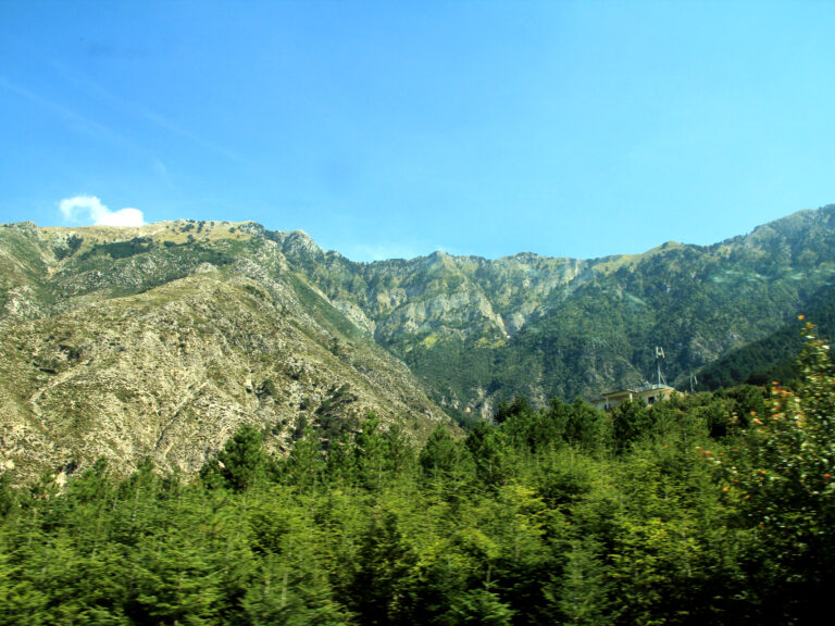 Why You Need to Visit Llogara National Park This Summer