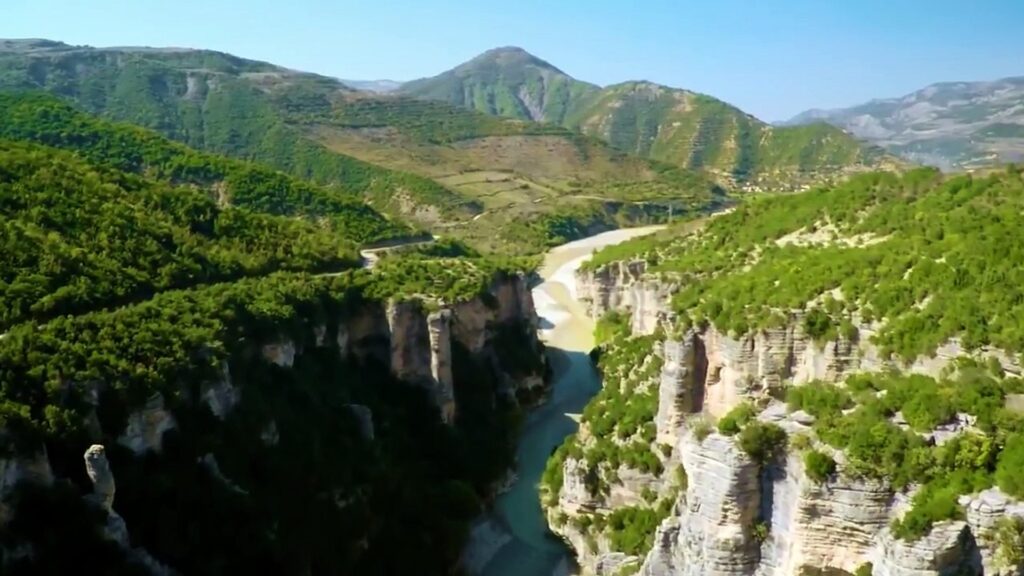 Natural beauty of Osumi Canyon with wildflowers and lush green vegetation along the cliffs