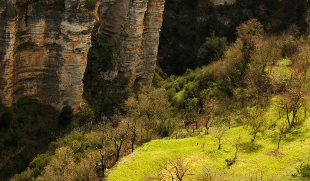 Aerial view of Osumi Canyon Albania with emerald green river flowing through steep cliffs